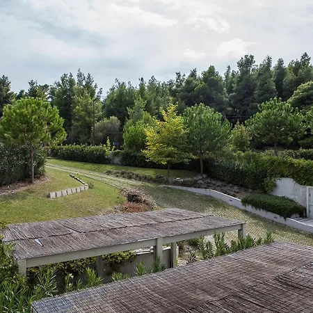#flh - Salted Lime Pool Paliouri